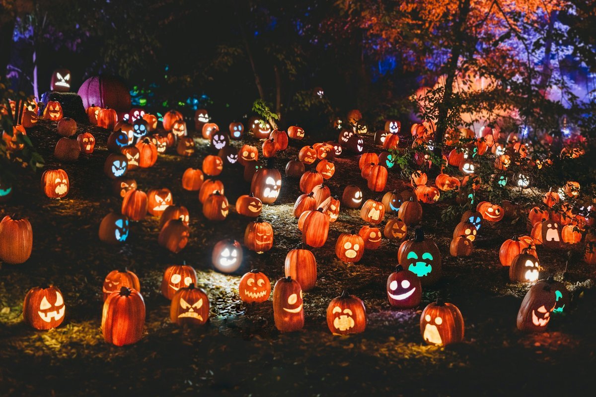 Spooktacular Ways to Give Back: Celebrating Halloween 2026 in London
