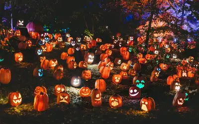 Feature image for Spooktacular Ways to Give Back: Celebrating Halloween 2026 in London