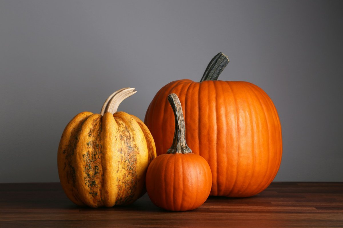 Setting a Wider Table: Meaningful Ways to Give Back This Thanksgiving Across London
