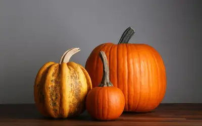 Feature image for Setting a Wider Table: Meaningful Ways to Give Back This Thanksgiving Across London