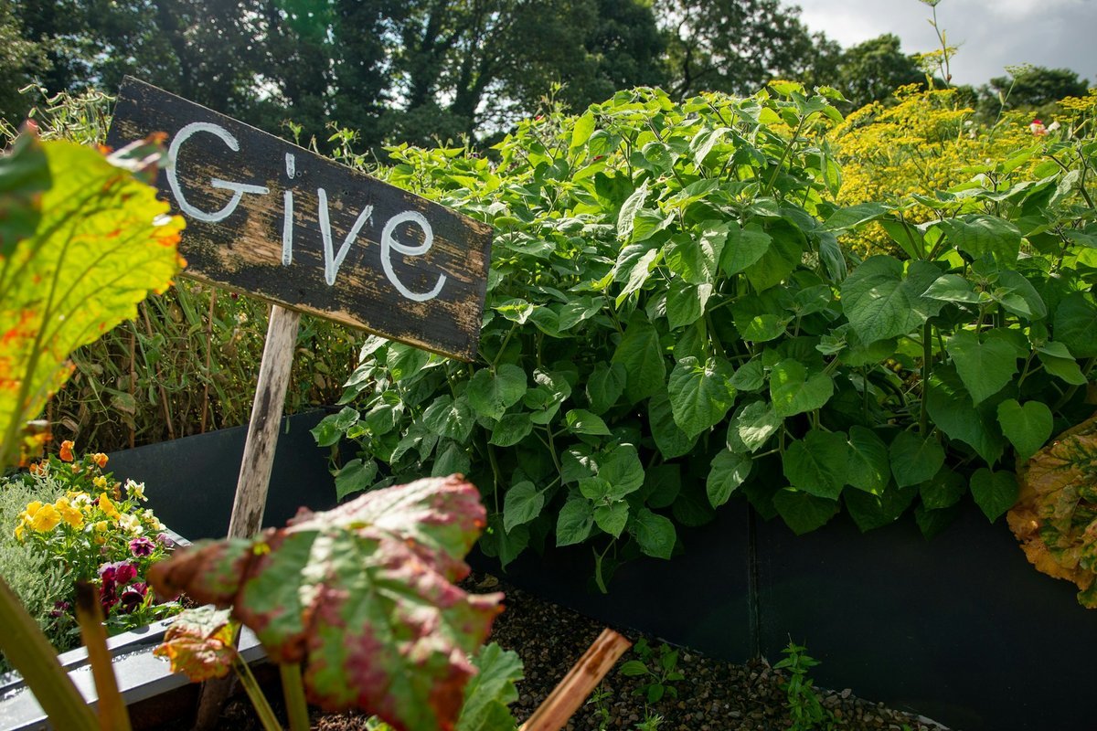 Innovate Today, Nourish Tomorrow: Reimagining Food Security Across London
