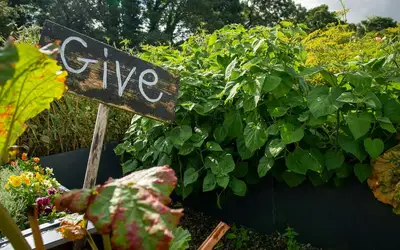Feature image for Innovate Today, Nourish Tomorrow: Reimagining Food Security Across London