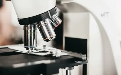 Micro-Volunteering in London: How to Make a Big Difference in Just Minutes