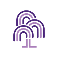 Willow Youth Network