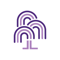 Willow Youth Network