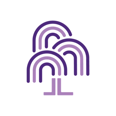 Willow Youth Network