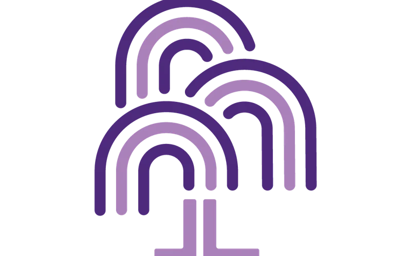 Willow Youth Network