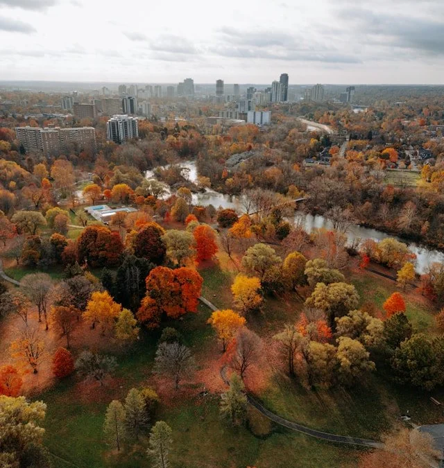 Community volunteers in London