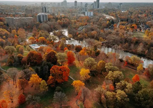 Volunteer London - Connect with your community